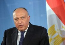 مصر تعلق على عمل اللجنة الدستورية السورية