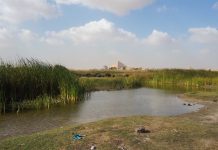 في مصر بركة الملك فاروق تشكو من الإهمال