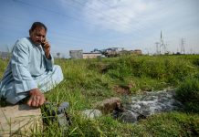 تراجع أسعار الأسمدة لا يزيد مبيعاتها في مصر