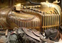 اكتشاف أثري في مصر عمره 4 آلاف عام اكتشاف أثري في مصر عمره 4 آلاف عام