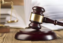 سجن 14 شخصا بسبب “حمار”