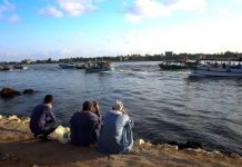 سخرية من محافظ يحارب البطالة بـ”قرض البط”