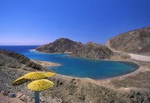 تأمين مصري لمهرجان إسرائيلي جنوب سيناء