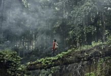 الدول العشر الأنقى هواء في العالم