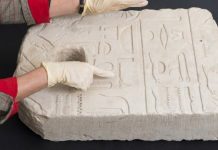 العثور على قطع أثرية مصرية في فلسطين المحتلة