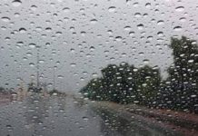 الأرصاد المصرية تحذر من التقلبات الجوية الحادة