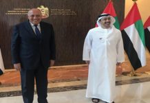 رسالة من الرئيس المصري إلى نظيره الإماراتي