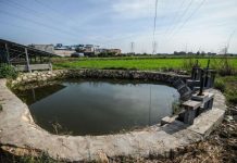 أزمة “سد النهضة” تدفع مصر لصيانة الترع بتكاليف باهظة