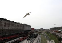 كورونا يجبر النورس على تغيير طعامه