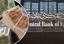 فقدان 3 مليارات دولار من النقد الأجنبي في مصر
