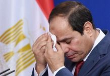 خيار التدخل وارد مصريا.. ولكن