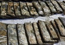 ضبط مخدرات قيمتها 30 مليون جنيه في مصر