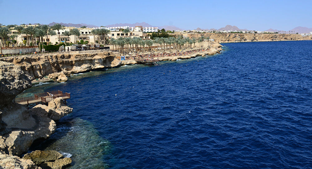 مصر... السلطات المصرية تتحرك بعد ظهور مخلوق قاتل في إحدى المحميات الطبيعية مصر... السلطات المصرية تتحرك بعد ظهور مخلوق قاتل في إحدى المحميات الطبيعية