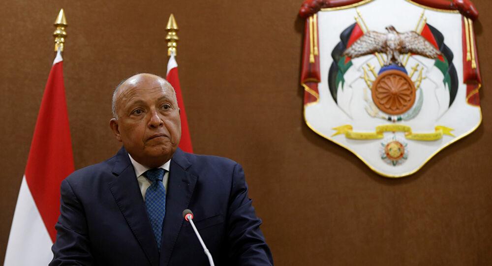 وزير الخاريجة المصري يتحدث عن العلاقات مع الإدارة الأمريكية الجديدة وزير الخاريجة المصري يتحدث عن العلاقات مع الإدارة الأمريكية الجديدة