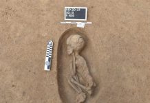 إضافة تاريخية مهمة.. “الأعلى للآثار”: الكشف عن ١١٠ مقابر بكوم الخلجان بالدقهلية -صور إضافة تاريخية مهمة.. "الأعلى للآثار": الكشف عن ١١٠ مقابر بكوم الخلجان بالدقهلية -صور