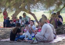 مصر: تجار السمك يأملون تحرك الأسواق في الفطر بعد ركود “شمّ النسيم” مصر: تجار السمك يأملون تحرك الأسواق في الفطر بعد ركود "شمّ النسيم"