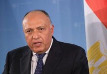 وزير الخارجية المصري يتحدث عن مدى تنفيذ اتفاق العلا وزير الخارجية المصري يتحدث عن مدى تنفيذ اتفاق العلا