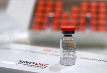 مع بدء إنتاج “سينوفاك” هل تدخل مصر عصر تصدير اللقاحات؟