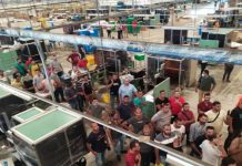 استمرار التنكيل بعمال “لورد” المصرية: إيقاف 39 عاملا بعد فصل العشرات استمرار التنكيل بعمال "لورد" المصرية: إيقاف 39 عاملا بعد فصل العشرات