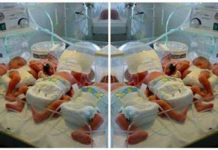 الحكومة المصرية تدعو لخفض معدل الإنجاب الحكومة المصرية تدعو لخفض معدل الإنجاب