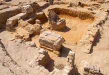 اكتشاف ضاحية سكنية وتجارية بالإسكندرية من العصرين اليوناني والروماني من العصرين اليوناني والروماني.. الآثار: اكتشاف بقايا ضاحية سكنية وتجارية بالإسكندرية - صور