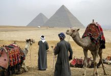 كورونا والإقتصاد المصري