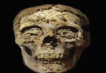 السياحة تعلن عن كشف مقبرتين متجاورتين ترجعان إلى العصر الصاوي السياحة تعلن عن كشف مقبرتين متجاورتين ترجعان إلى العصر الصاوي