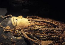 بعد 3500 عام… مومياء فرعون مصري تكشف أسراراً جديدة بعد 3500 عام... مومياء فرعون مصري تكشف أسراراً جديدة