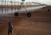 3 ضربات قاتلة للطاقة المتجددة في مصر 3 ضربات قاتلة للطاقة المتجددة في مصر