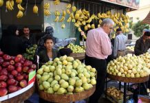 المصريون يرشقون الحكومة بحسبة حول استهلاك التفاح على مواقع التواصل المصريون يرشقون الحكومة بحسبة حول استهلاك التفاح على مواقع التواصل