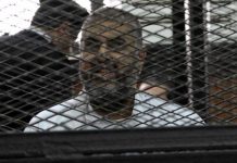 مصر تتحفظ على أموال شقيقتي الشاطر وأبناء غزلان مصر تتحفظ على أموال شقيقتي الشاطر وأبناء غزلان