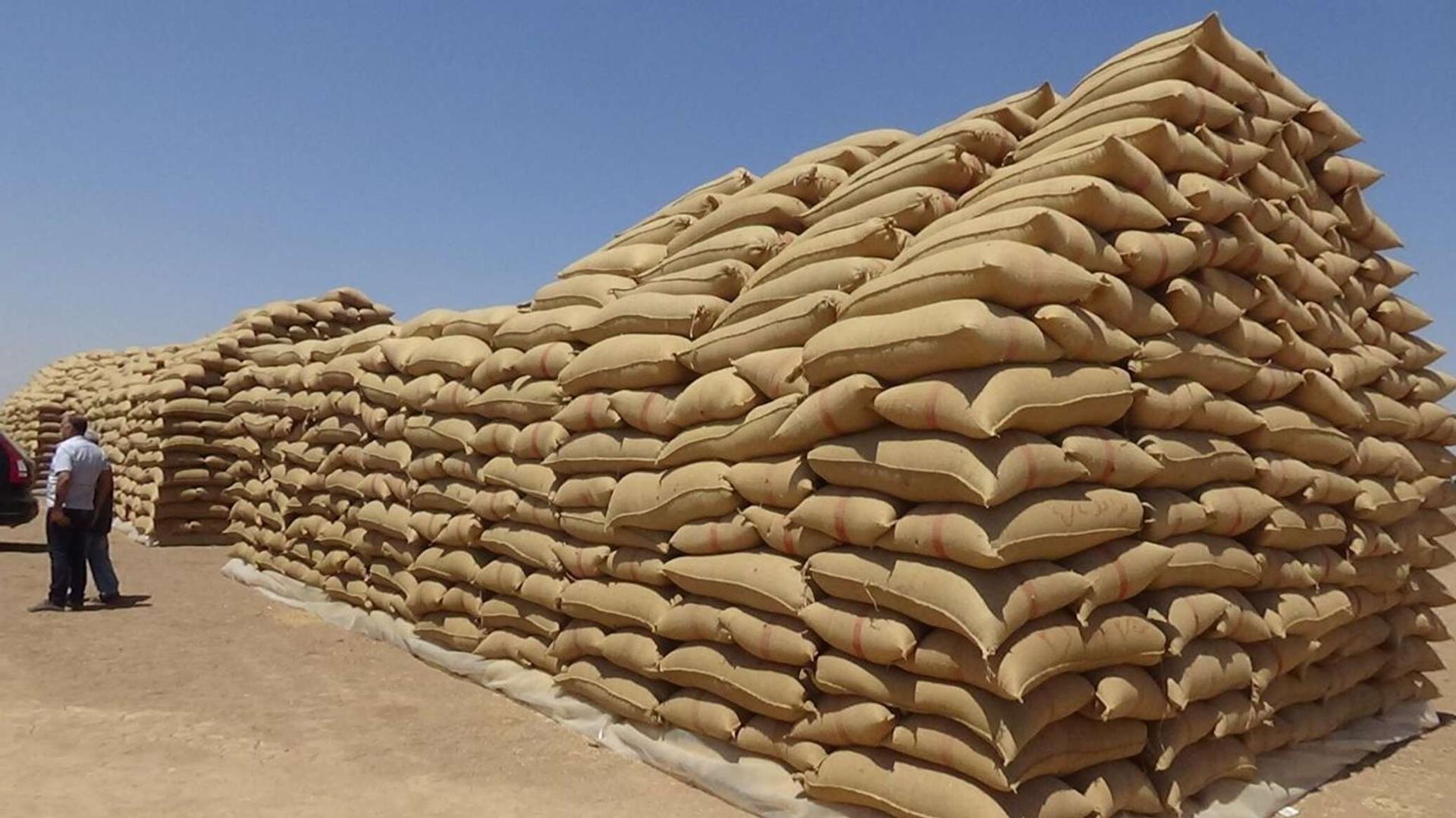 مصر تتحرك لمواجهة نقص مخزونات القمح وبناء احتياطيات للعام القادم مصر تتحرك لمواجهة نقص مخزونات القمح وبناء احتياطيات للعام القادم