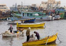 الحوثيون يفرجون عن 20 صياداً مصرياً بعد 45 يوماً من الاختطاف الحوثيون يفرجون عن 20 صياداً مصرياً بعد 45 يوماً من الاختطاف