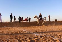 سباق المرماح… كلّ حصان بفارسه واسمه سباق المرماح... كلّ حصان بفارسه واسمه