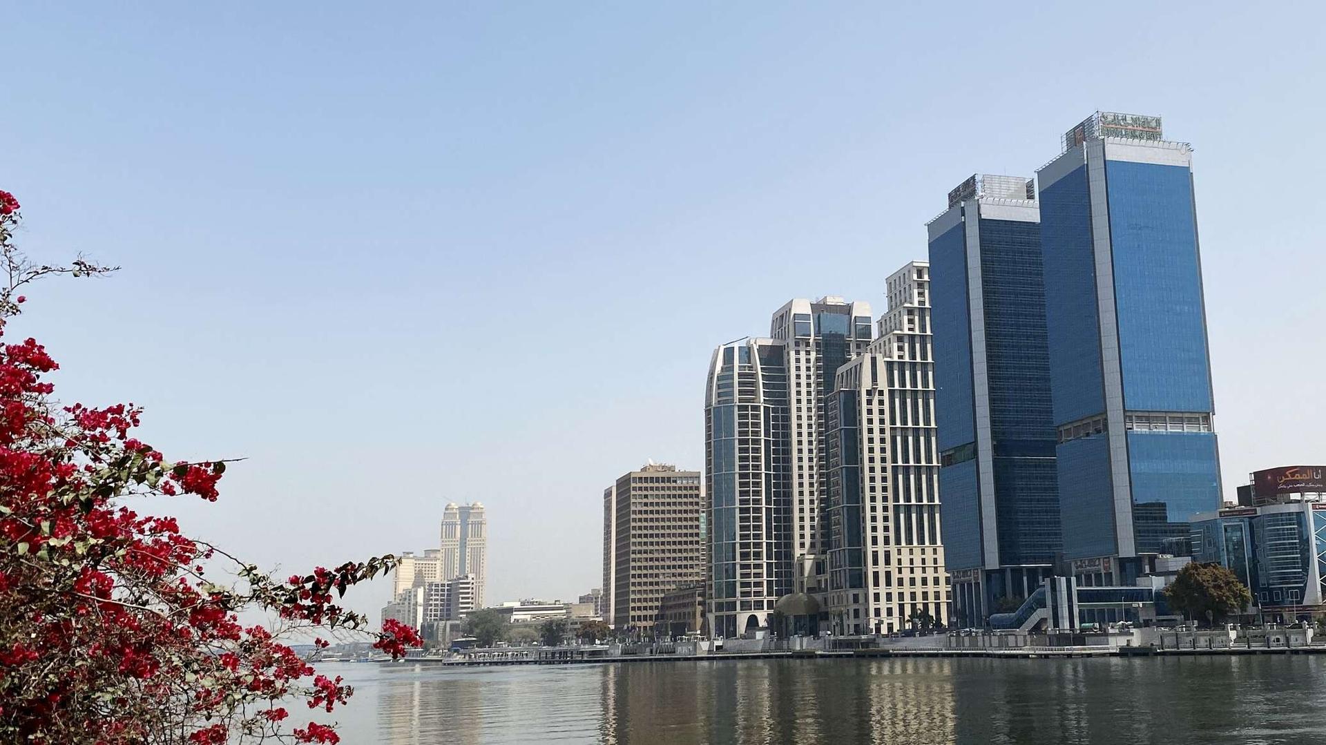 البطالة في مصر تتجاوز 7% في الربع الأول من 2022 بتراجع طفيف عن الفترة السابقة البطالة في مصر تتجاوز 7% في الربع الأول من 2022 بتراجع طفيف عن الفترة السابقة