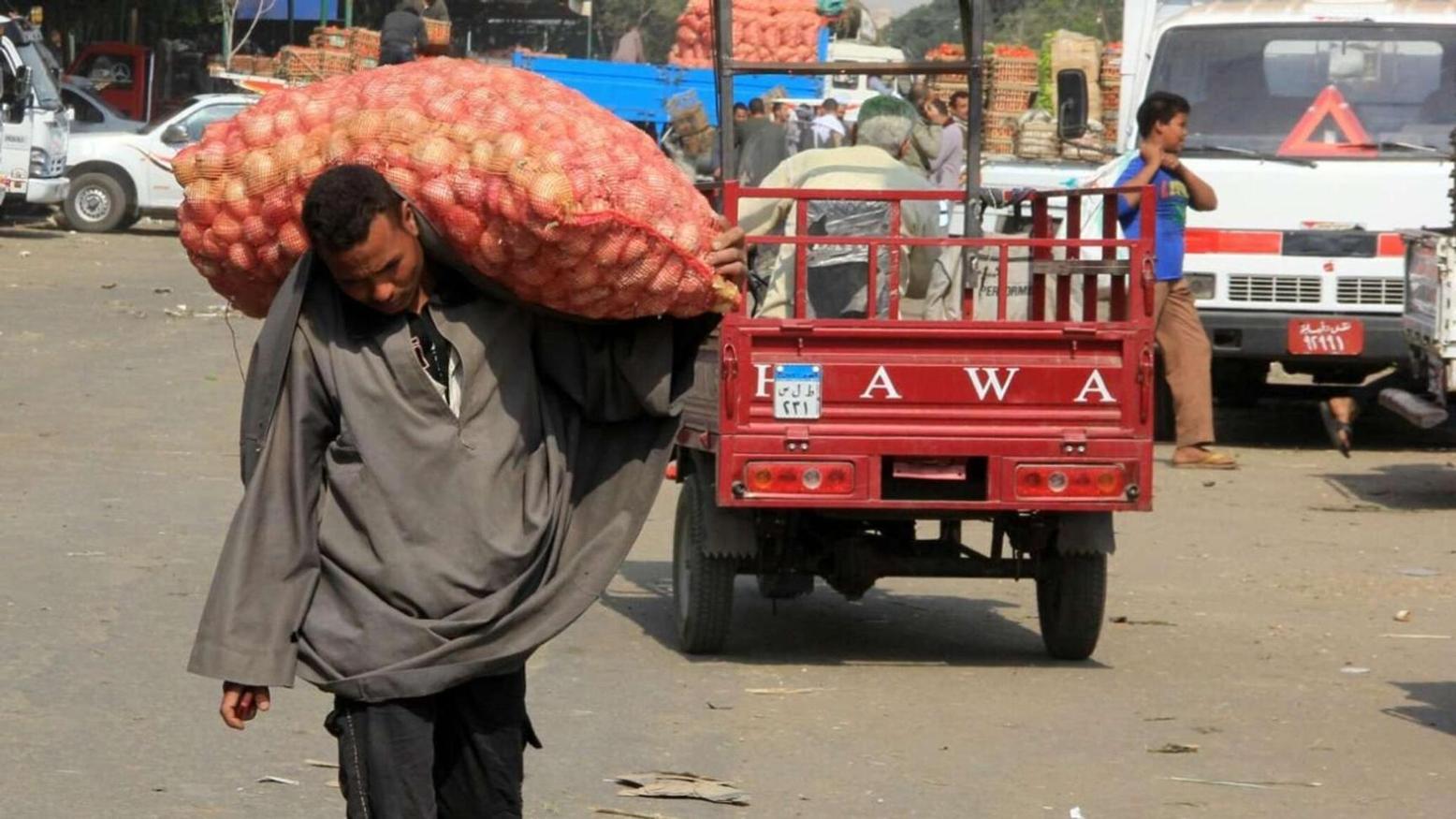 مصر... رفع مخصصات الدعم النقدي ملياري جنيه في العام المالي المقبل مصر... رفع مخصصات الدعم النقدي ملياري جنيه في العام المالي المقبل