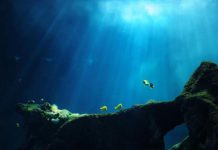 جبال من السكر في أعماق المحيط جبال من السكر في أعماق المحيط