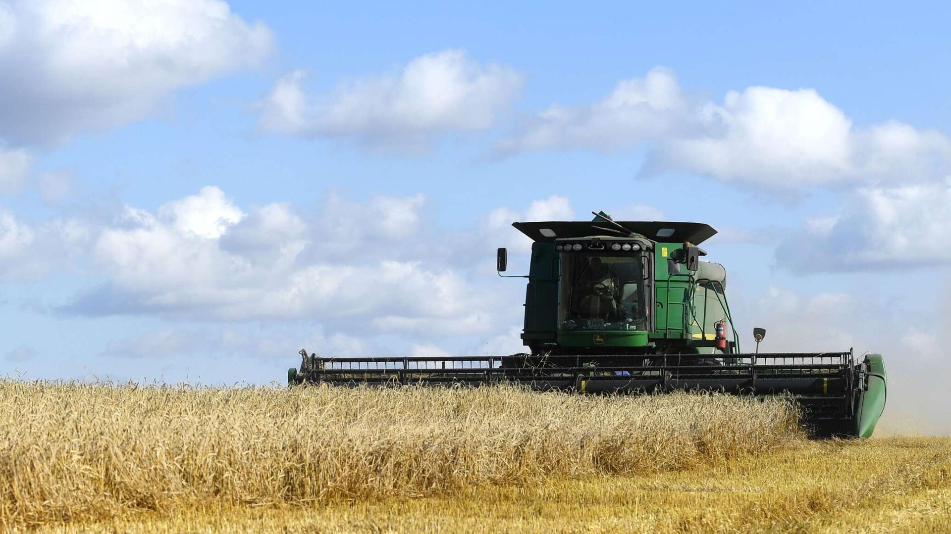 الزراعة المصرية: نجري اتصالات لاستثناء مصر من قرار الهند بحظر تصدير القمح الزراعة المصرية: نجري اتصالات لاستثناء مصر من قرار الهند بحظر تصدير القمح