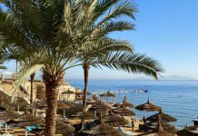 مصر تدعو مستثمرين سعوديين لبناء “منتجعات” على أنقاض المصانع المغلقة مصر تدعو مستثمرين سعوديين لبناء "منتجعات" على أنقاض المصانع المغلقة