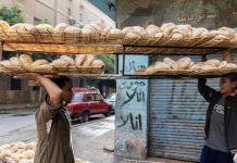 مخترع “رغيف البطاطا” محروم من حقوق الملكية في مصر مخترع "رغيف البطاطا" محروم من حقوق الملكية في مصر