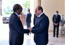 العلاقات المصرية الصومالية تعود من بوابة الأزمات الراهنة