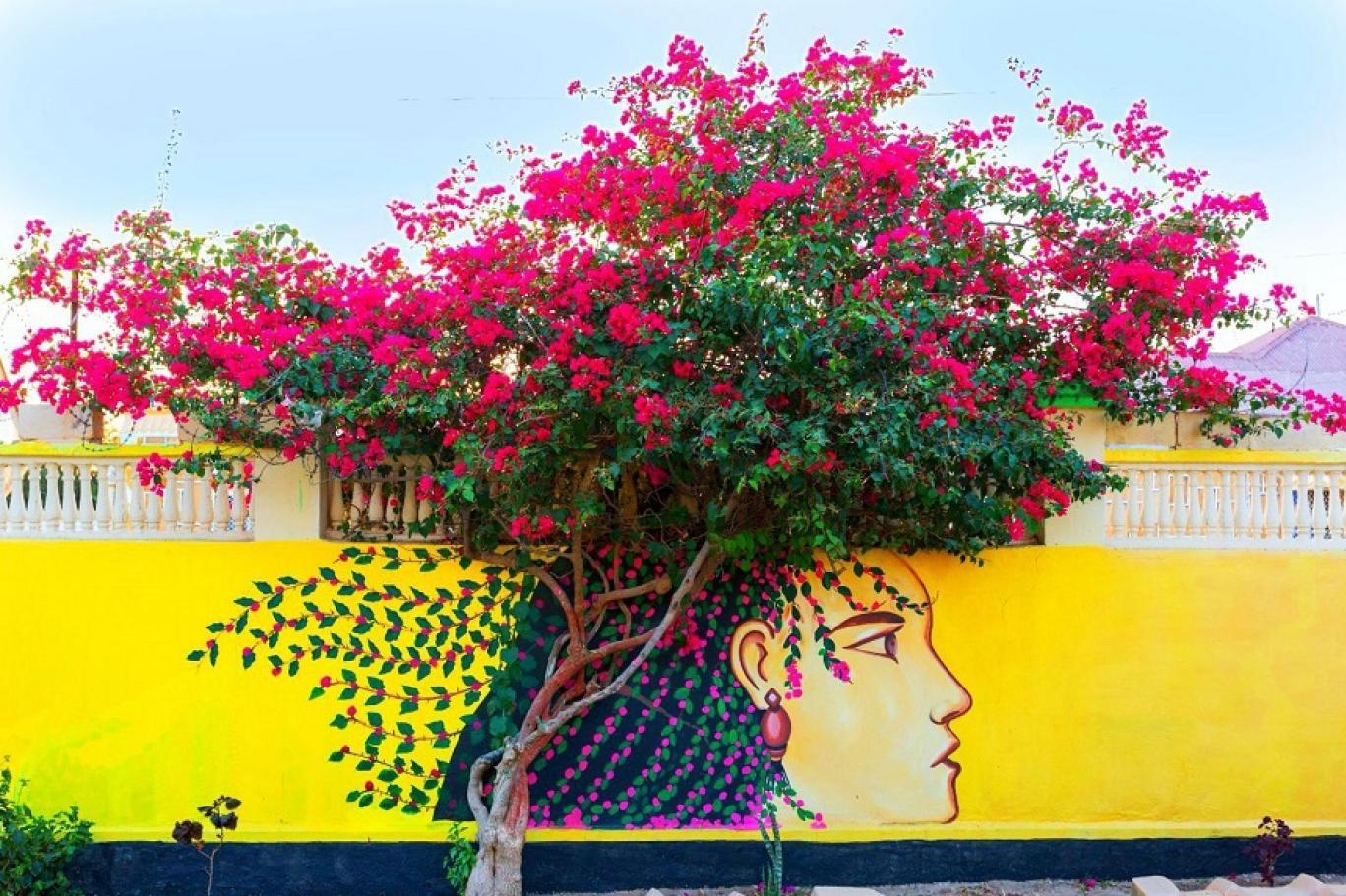 مبادرة مبادرة