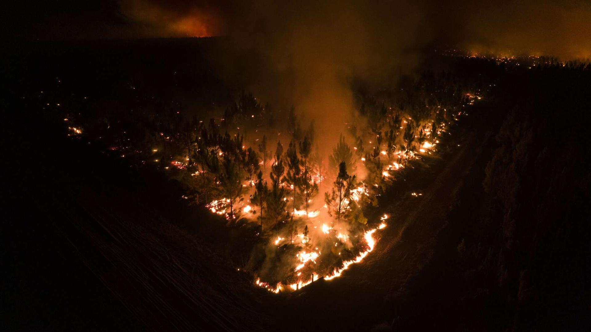 مصر... اندلاع حريق داخل غابة شجرية في سوهاج مصر... اندلاع حريق داخل غابة شجرية في سوهاج