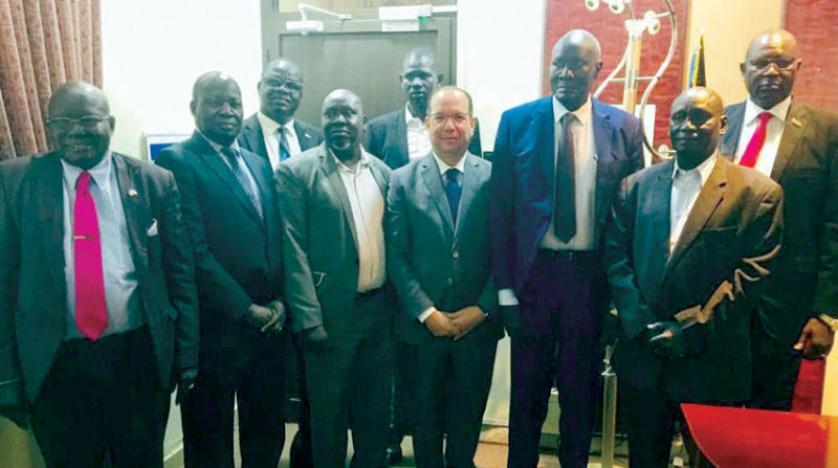 القاهرة تبحث دفع التعاون مع جنوب السودان القاهرة تبحث دفع التعاون مع جنوب السودان