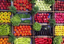 مصر: تراجع أسعار الفاكهة والخضراوات وارتفاع الألبان والجبن والبيض مصر: تراجع أسعار الفاكهة والخضراوات وارتفاع الألبان والجبن والبيض