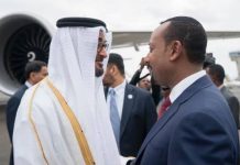 كيف تتعامل مصر مع الموقف الإماراتي حول سد النهضة؟