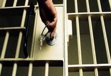 العفو الرئاسي: إخلاء سبيل 25 شخصًا من المحبوسين احتياطيا غدًا العفو الرئاسي: إخلاء سبيل 25 شخصًا من المحبوسين احتياطيا غدًا