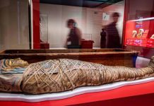 “مومياوات مصر”: الجسد المحنّط وذاكرته "مومياوات مصر": الجسد المحنّط وذاكرته