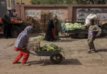 مصر تعلن البدء في تطبيق برنامج الحماية الاجتماعية الاستثنائية مصر تعلن البدء في تطبيق برنامج الحماية الاجتماعية الاستثنائية