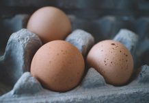 توقعات بارتفاع أسعار البيض بمصر؛ ومربو الدواجن بانتظار كارثة توقعات بارتفاع أسعار البيض بمصر؛ ومربو الدواجن بانتظار كارثة